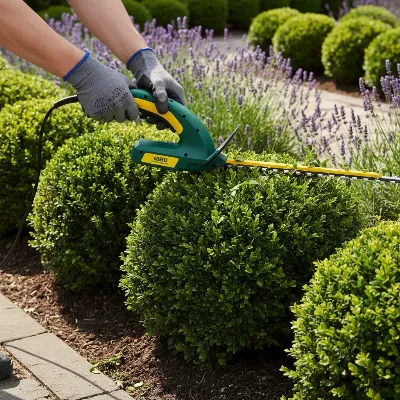 A lightweight corded electric hedge trimmer being used in a small, manicured garden.